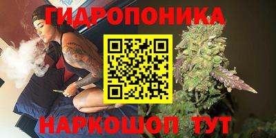 гашик Конаково