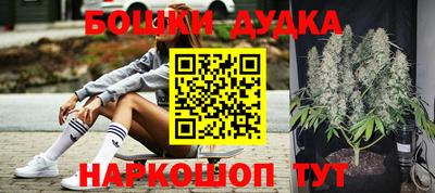 ГАЛЛЮЦИНОГЕННЫЕ ГРИБЫ Кингисепп