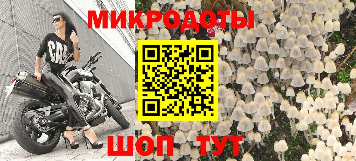 Псилоцибиновые грибы мицелий  Псилоцибиновые грибы GOLDEN TEACHER  Вход с VPN  Котельники 